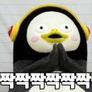 영희초등학교 이미지