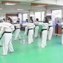 석사경희태권도 이미지