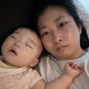 대구제일보조기,의수족 | 2025.09.30. 황마스 D+371. 이유식192일째. 돌접종 시작. 독감 일본뇌염. 장난감도서관 치과재결제까지...