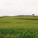 김재식농장 이미지