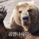 황우쌈 이미지