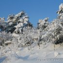 금강농원 이미지