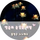 동탄호텔 스타즈프리미어동탄 28개월아기랑 슈페리어더블룸 후기
