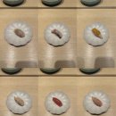 미소스시 이미지