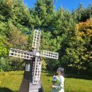 다비치안경 호매실 홈플러스앞점 이미지