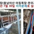 아침목장 이미지