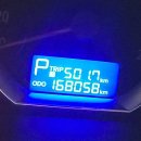 카데렐라 이미지