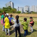 고인돌 역사공원 이미지