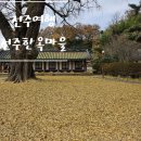 안경나라 남천점 | 전주향교 향교 은행나무 오목대 이목대 자만, 옥류 벽화마을 남천교 청연루까지