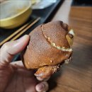 아우로라