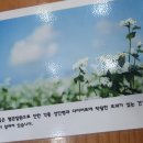 쇠목막국수 이미지