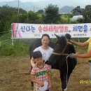 북삼숭산초등 이미지