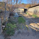 김재근농장 이미지