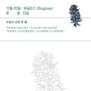 뷰글라스 - 5660 | 뷰글라스
