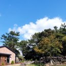 스테이비갠오후 이미지