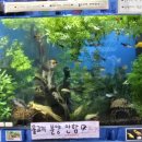 윤성약국 이미지