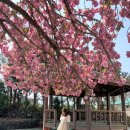 선동경로당 이미지