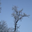 태백산맥 이미지