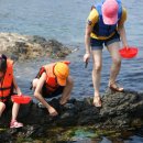 흙으로의 여행 이미지