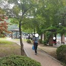 6.25참전기념비 이미지