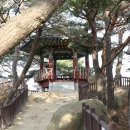 하조대막국수