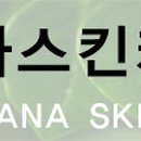 다나스킨케어 Daum카페