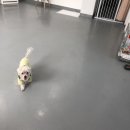 The 빛나개 이미지