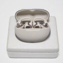 202-금촌3-202 | 25년 9월 샥즈 오픈닷원 E310 그레이 내돈내산 구매후기[하이마트 보증 5년]!🎧