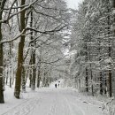 영화로 배우는 영어회화 이미지