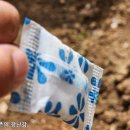 크린스타 이미지