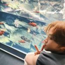 코레 이미지