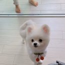 아이봄동물병원 이미지