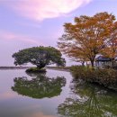 장동면 행정복지센터 이미지