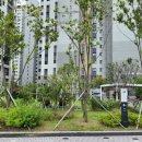 장평삼성약국 이미지