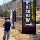 향로산 자연휴양림 수영장 이미지