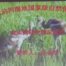 순천만 흑두루미 국제 심포지엄 이미지