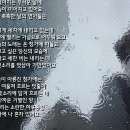 [일반시11.들꽃의 노래]07.빗방울이 창문을 두드릴 때 외 6편 이미지