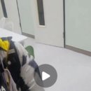 도레미피아노음악교습소 이미지