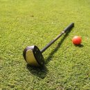 영릉스포츠 이미지