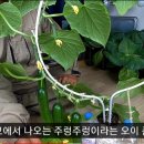 장훈농장 이미지