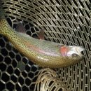 하마낚시터 이미지