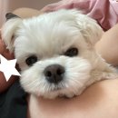 이삭푸드서비스(주)미래산후조리원 | 새로운 눈으로 보는 세상 👀