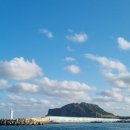 (주)제주메가투어 | 제주쏠라티투어 덕분에 즐긴 자유로운 제주도 여행 후기