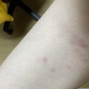 소소한 일상에 감사함을 느끼는 법: CJ대한통운 일일 알바 후기