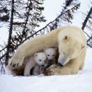 평화로운가족 이미지