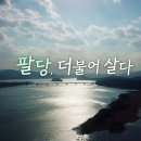 [KBS 다큐온] 팔당, 더불어 살다 이미지