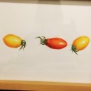 보타니컬아트(중급) 이미지