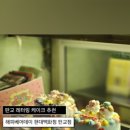 분당-판교-2211 네이버블로그