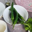 르보아펜션 | 가평 가족여행 르보아펜션 아망떼 5인 이용후기, 수영장/계곡/개별바베큐 가능한 힐링숙소