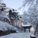 마곡사관광지 이미지